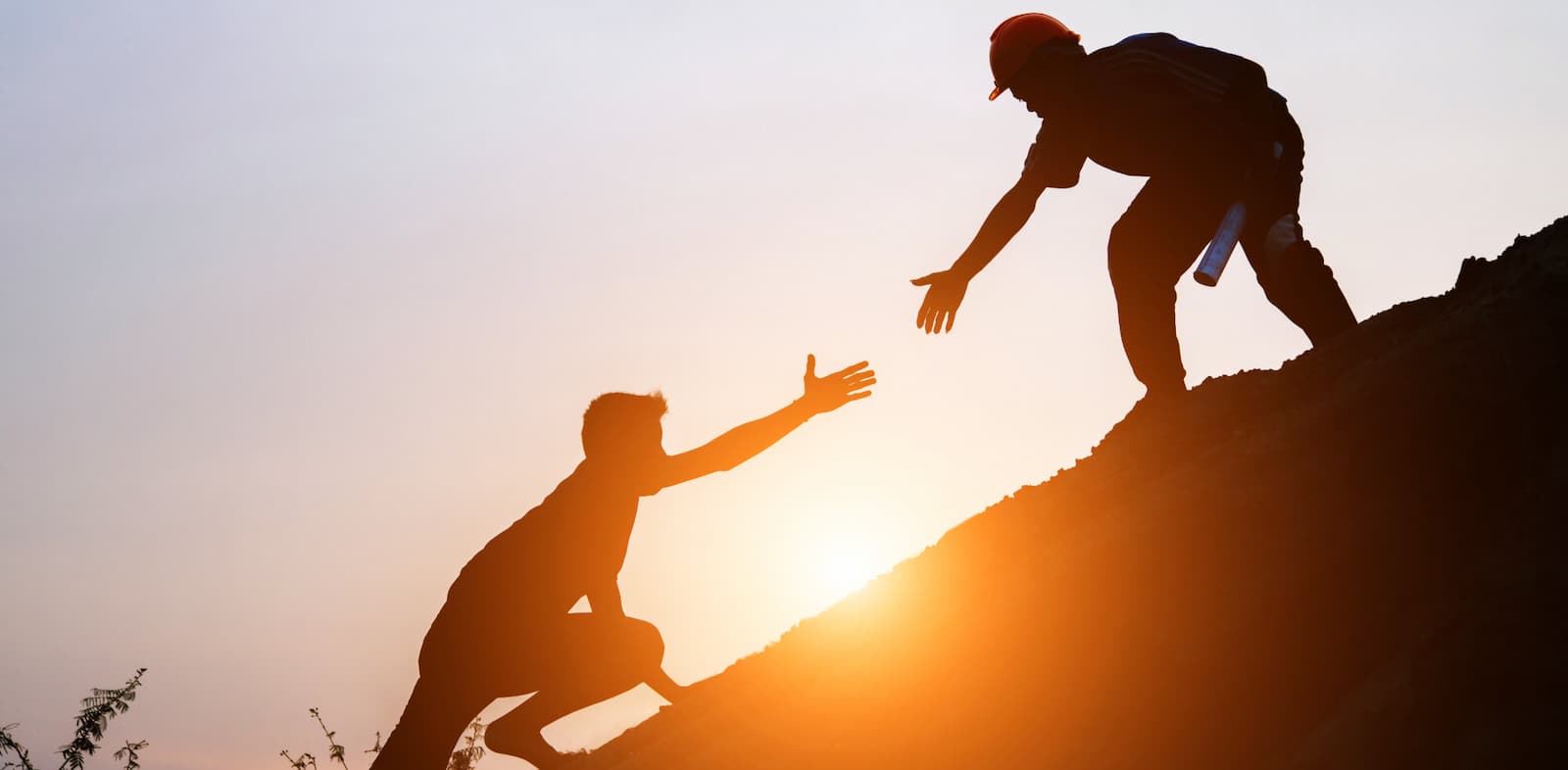 Trustworthy and transparent investment platform